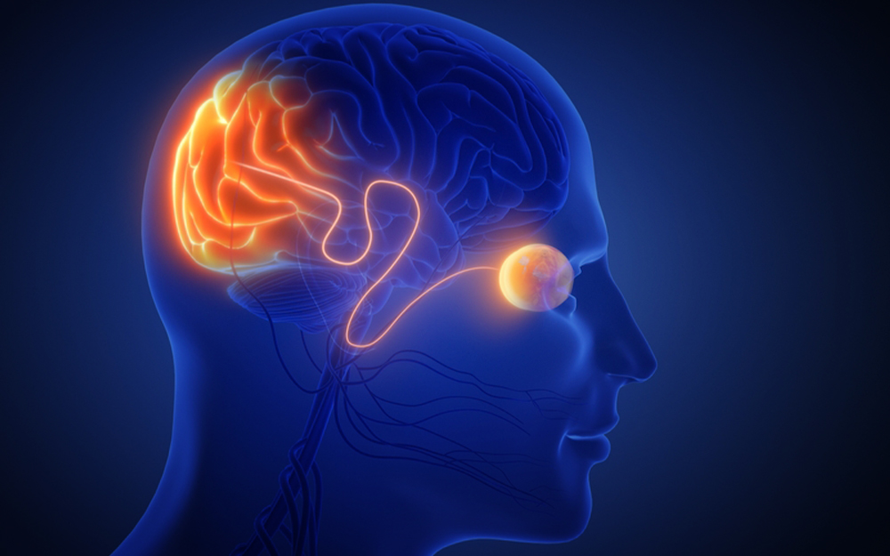 Optic Nerve Clinic