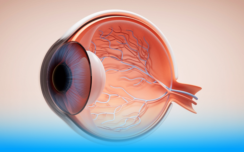 Retina Clinic